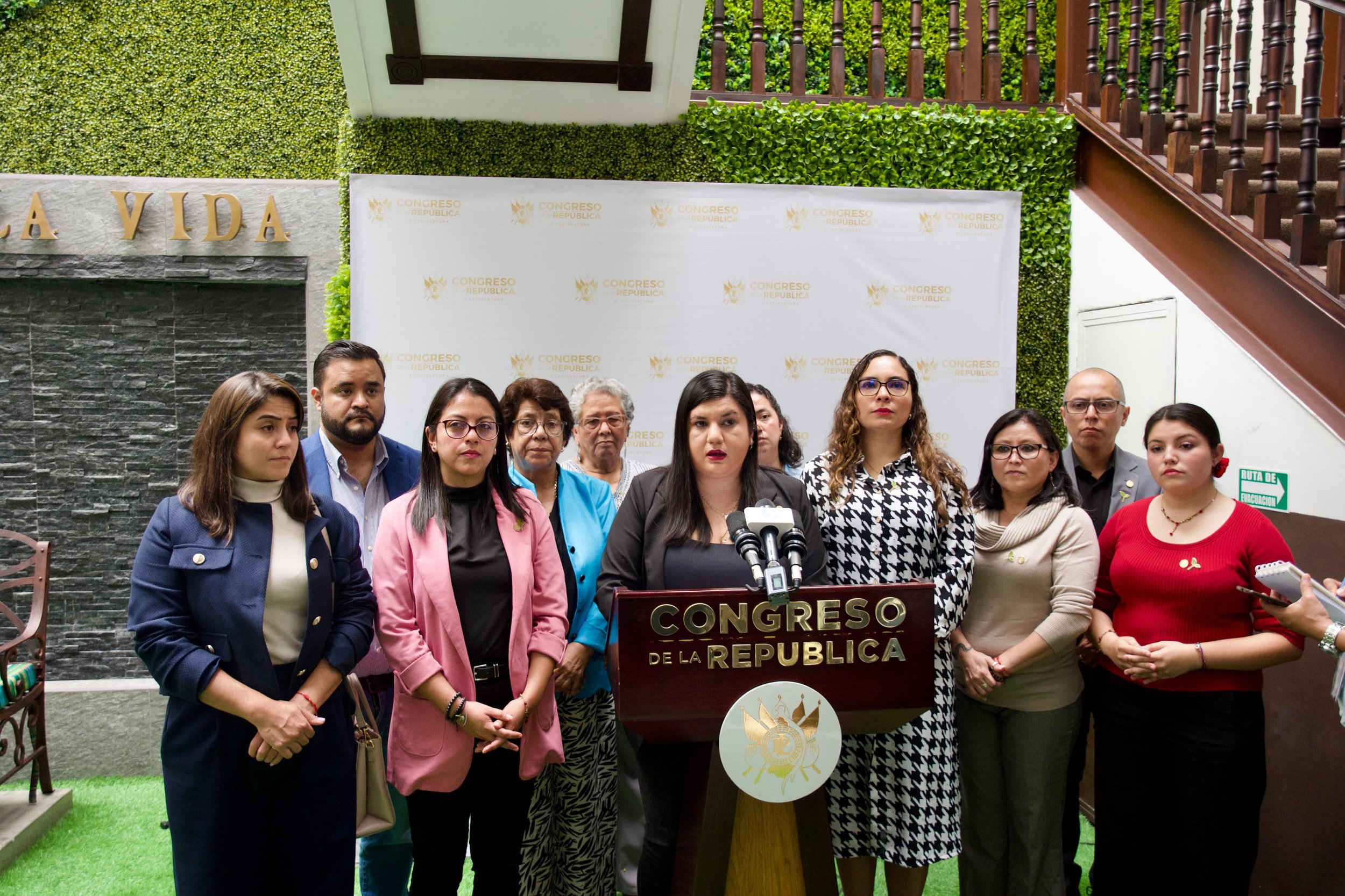  Foto: Bancada Semilla 